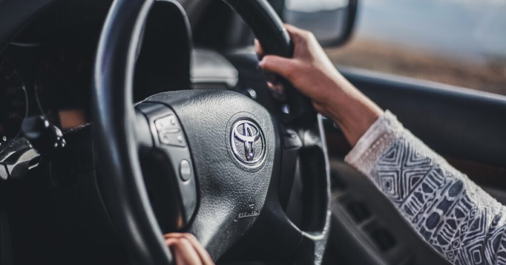 person holding a steering wheel